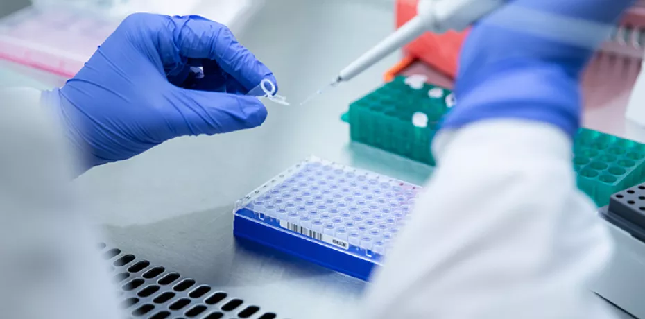 Laboratory workers' hands