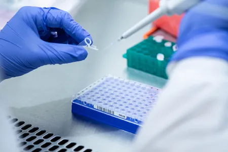 Laboratory workers' hands